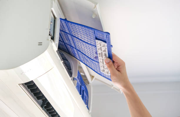 Best Affordable Duct Cleaning Services  in Al Creek, CO